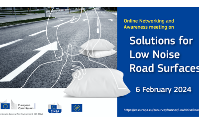 Online Networking: Solutions for low-noise road surfaces