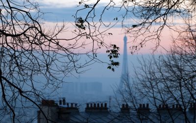 Air pollution’s economic and health costs in France 